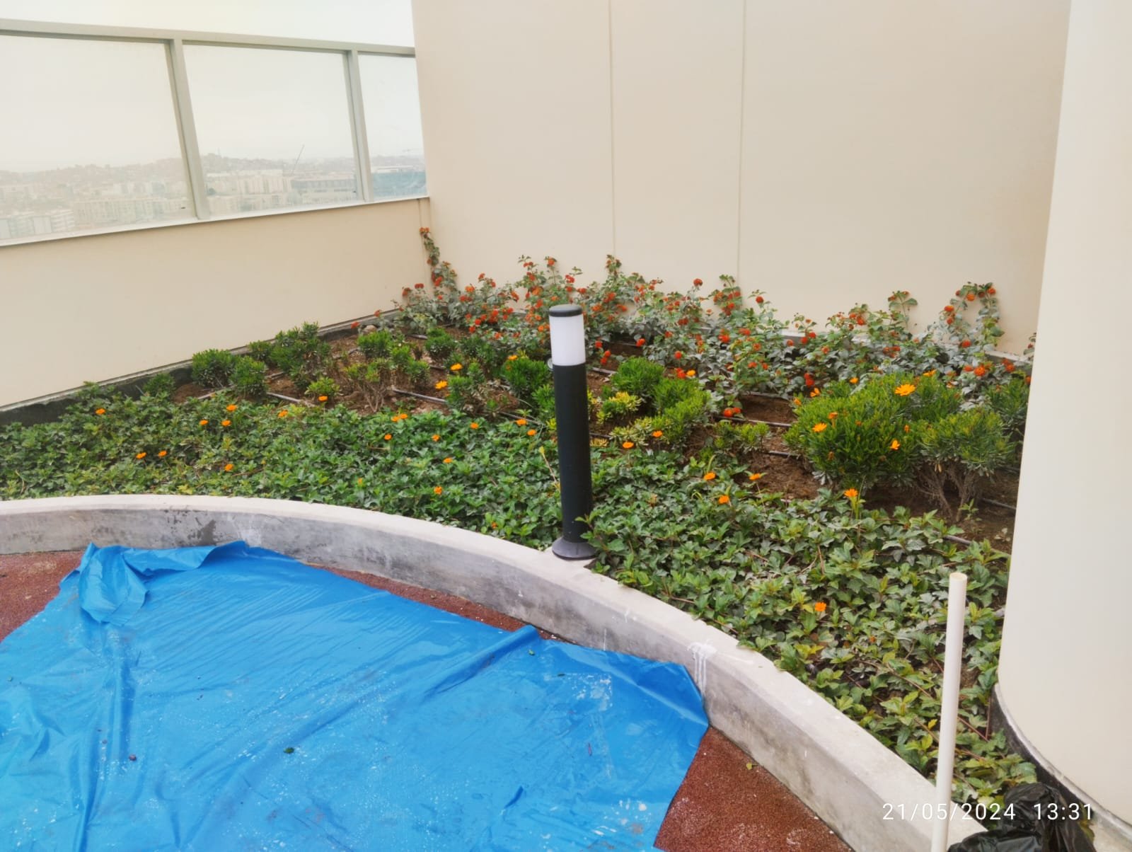 Detalle de un proyecto de áreas verdes